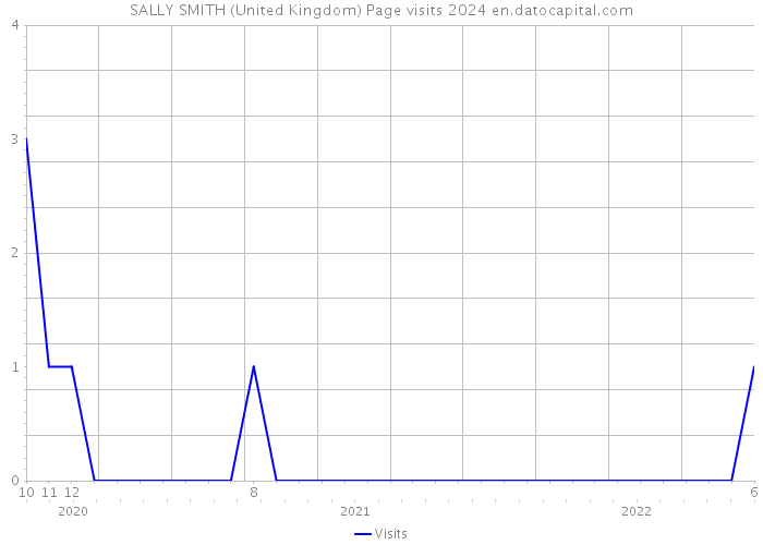 SALLY SMITH (United Kingdom) Page visits 2024 