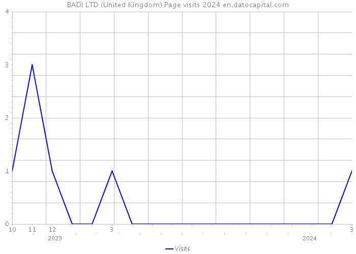 BADI LTD (United Kingdom) Page visits 2024 