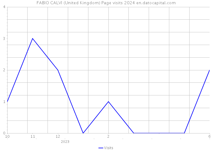 FABIO CALVI (United Kingdom) Page visits 2024 