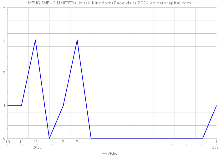 HENG SHENG LIMITED (United Kingdom) Page visits 2024 