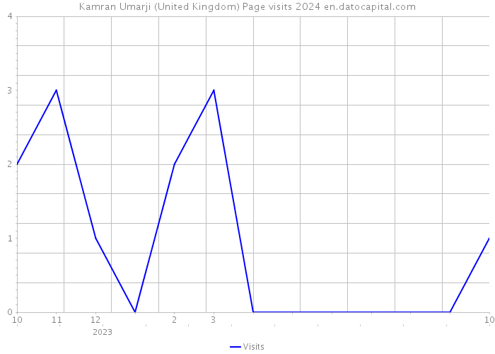 Kamran Umarji (United Kingdom) Page visits 2024 