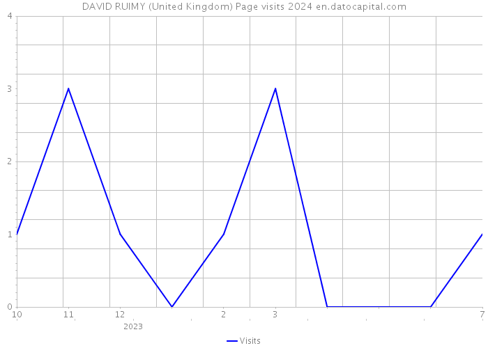 DAVID RUIMY (United Kingdom) Page visits 2024 
