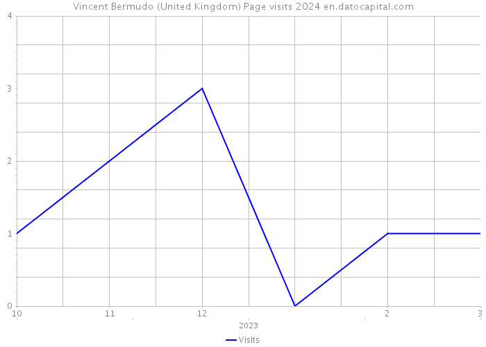Vincent Bermudo (United Kingdom) Page visits 2024 