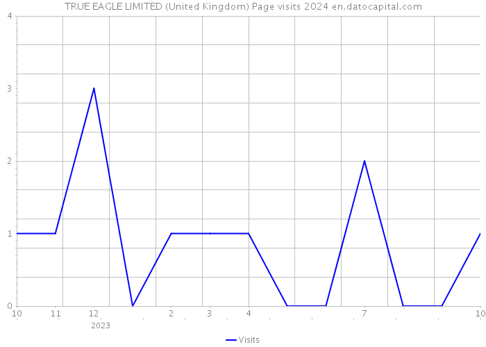 TRUE EAGLE LIMITED (United Kingdom) Page visits 2024 