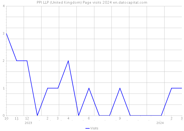 PPI LLP (United Kingdom) Page visits 2024 