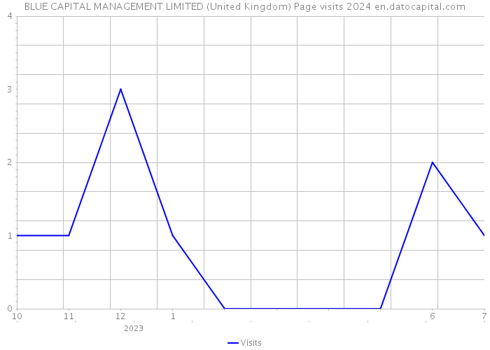 BLUE CAPITAL MANAGEMENT LIMITED (United Kingdom) Page visits 2024 