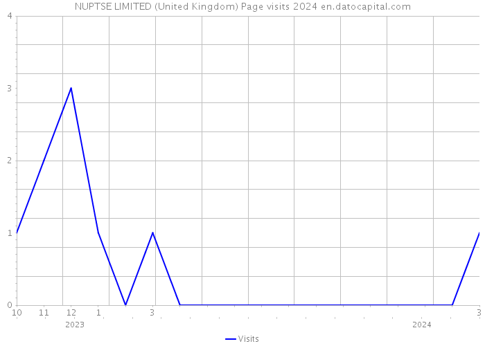 NUPTSE LIMITED (United Kingdom) Page visits 2024 