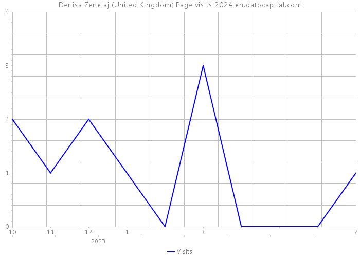 Denisa Zenelaj (United Kingdom) Page visits 2024 