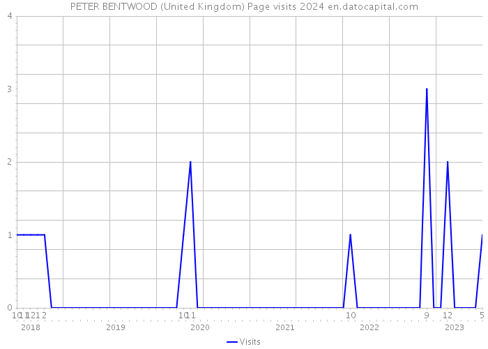 PETER BENTWOOD (United Kingdom) Page visits 2024 