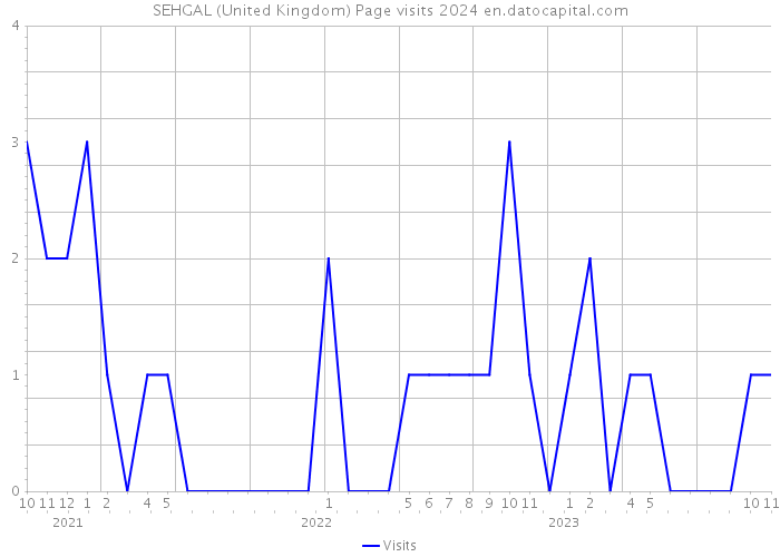 SEHGAL (United Kingdom) Page visits 2024 