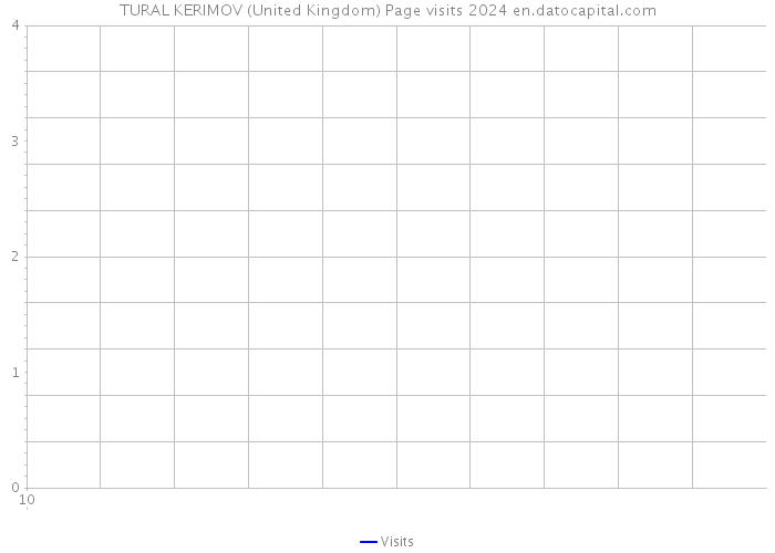 TURAL KERIMOV (United Kingdom) Page visits 2024 