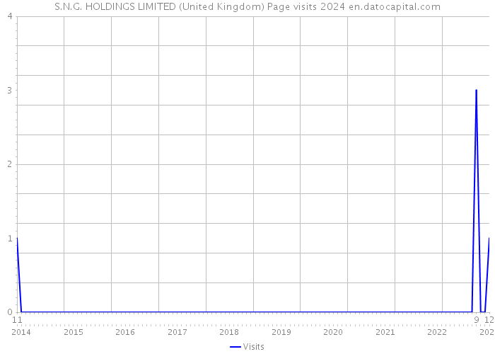 S.N.G. HOLDINGS LIMITED (United Kingdom) Page visits 2024 