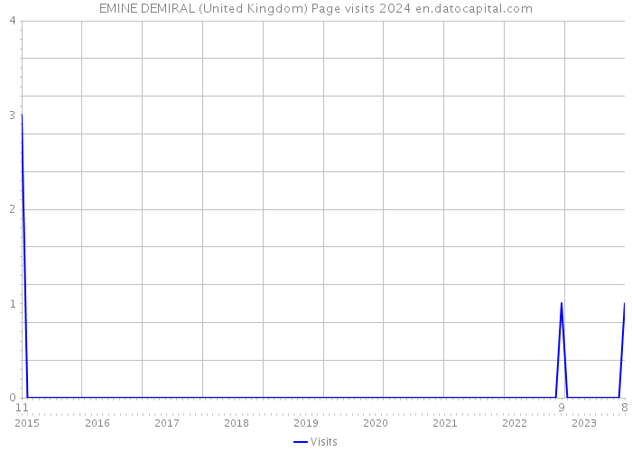 EMINE DEMIRAL (United Kingdom) Page visits 2024 