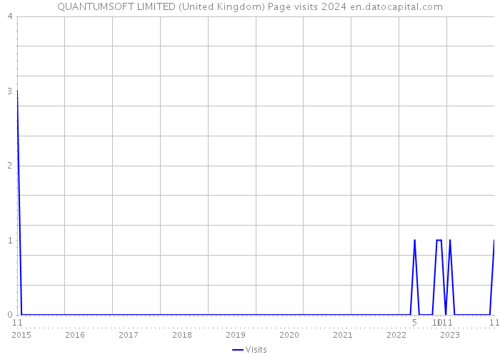 QUANTUMSOFT LIMITED (United Kingdom) Page visits 2024 