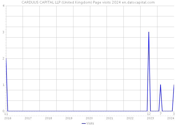 CARDUUS CAPITAL LLP (United Kingdom) Page visits 2024 