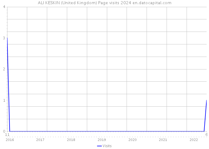 ALI KESKIN (United Kingdom) Page visits 2024 