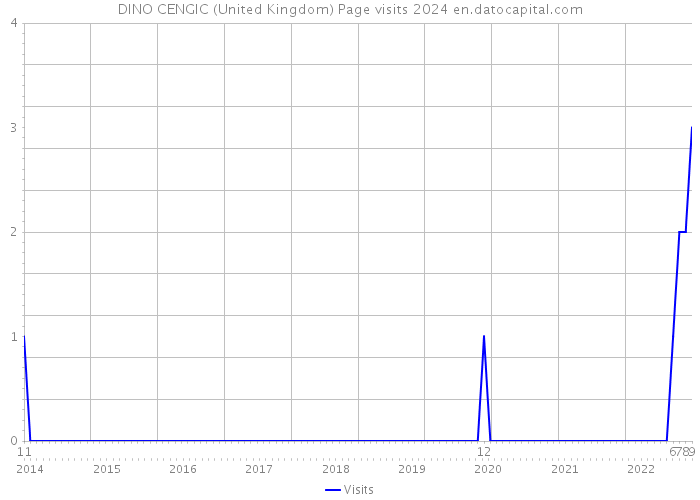 DINO CENGIC (United Kingdom) Page visits 2024 