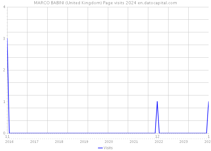 MARCO BABINI (United Kingdom) Page visits 2024 