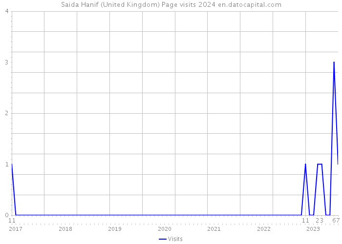 Saida Hanif (United Kingdom) Page visits 2024 