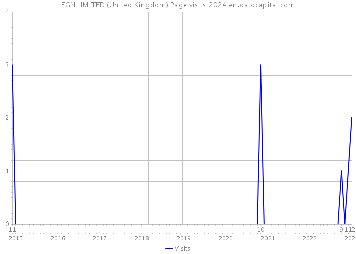 FGN LIMITED (United Kingdom) Page visits 2024 
