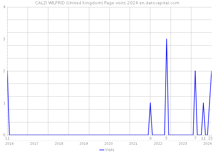 CALZI WILFRID (United Kingdom) Page visits 2024 