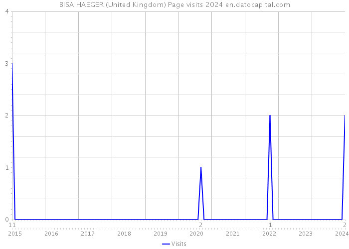 BISA HAEGER (United Kingdom) Page visits 2024 