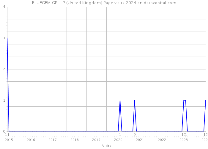 BLUEGEM GP LLP (United Kingdom) Page visits 2024 