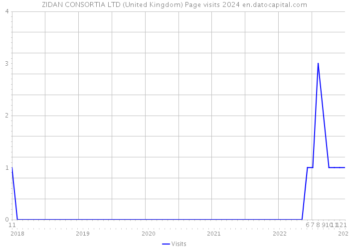 ZIDAN CONSORTIA LTD (United Kingdom) Page visits 2024 