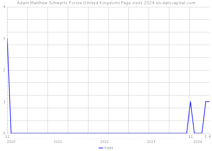 Adam Matthew Schwartz Forste (United Kingdom) Page visits 2024 