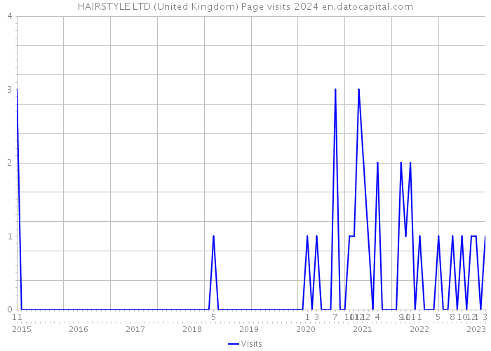 HAIRSTYLE LTD (United Kingdom) Page visits 2024 