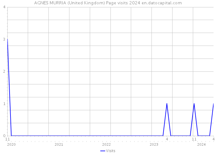 AGNES MURRIA (United Kingdom) Page visits 2024 