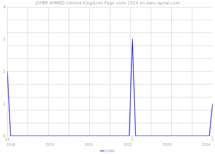 JOHER AHMED (United Kingdom) Page visits 2024 