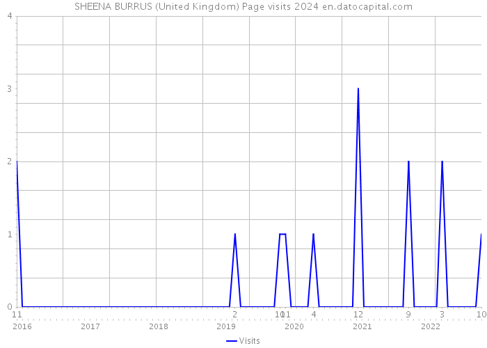 SHEENA BURRUS (United Kingdom) Page visits 2024 
