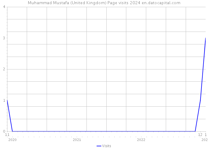 Muhammad Mustafa (United Kingdom) Page visits 2024 