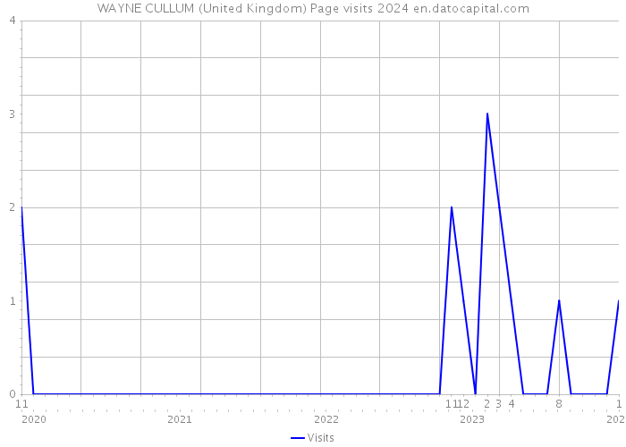 WAYNE CULLUM (United Kingdom) Page visits 2024 