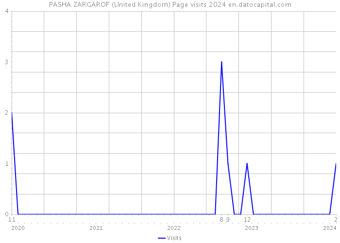 PASHA ZARGAROF (United Kingdom) Page visits 2024 