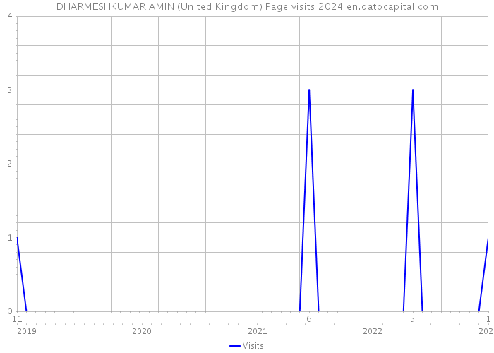 DHARMESHKUMAR AMIN (United Kingdom) Page visits 2024 