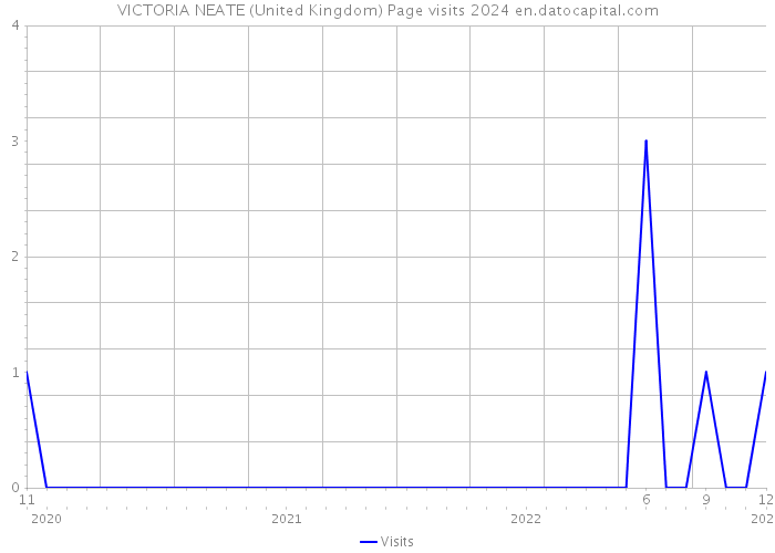 VICTORIA NEATE (United Kingdom) Page visits 2024 