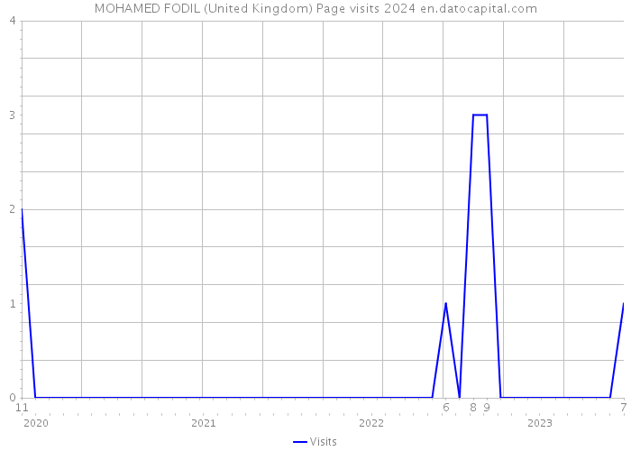 MOHAMED FODIL (United Kingdom) Page visits 2024 