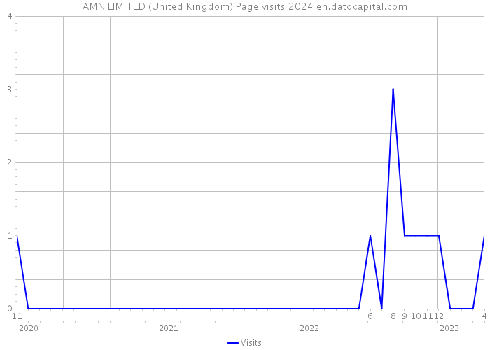 AMN LIMITED (United Kingdom) Page visits 2024 