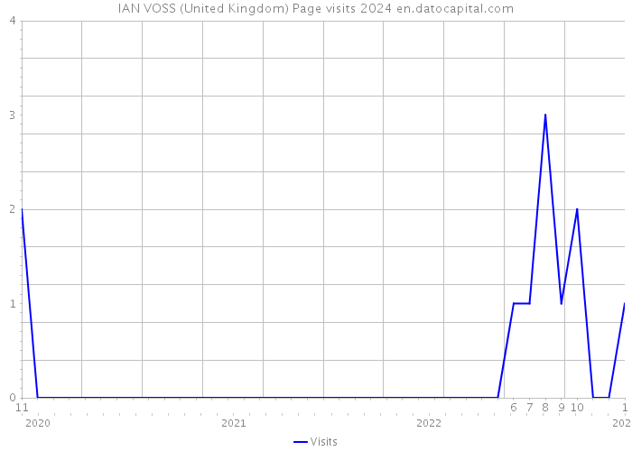 IAN VOSS (United Kingdom) Page visits 2024 