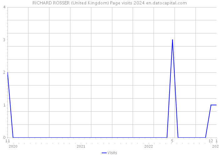 RICHARD ROSSER (United Kingdom) Page visits 2024 