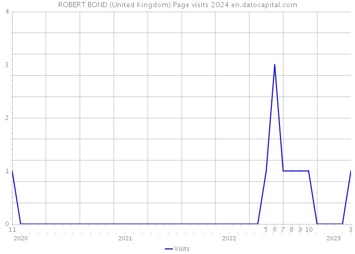 ROBERT BOND (United Kingdom) Page visits 2024 