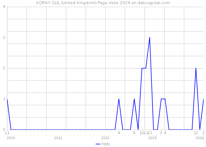 KORAY GUL (United Kingdom) Page visits 2024 
