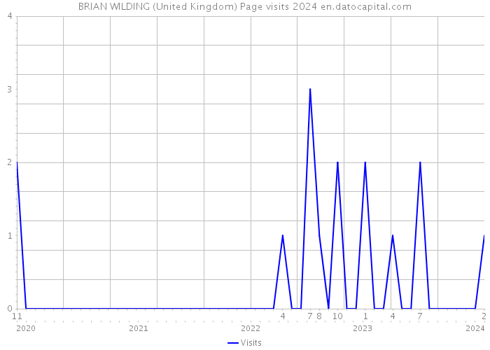 BRIAN WILDING (United Kingdom) Page visits 2024 