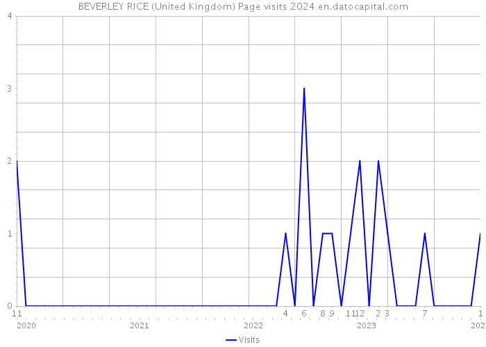 BEVERLEY RICE (United Kingdom) Page visits 2024 
