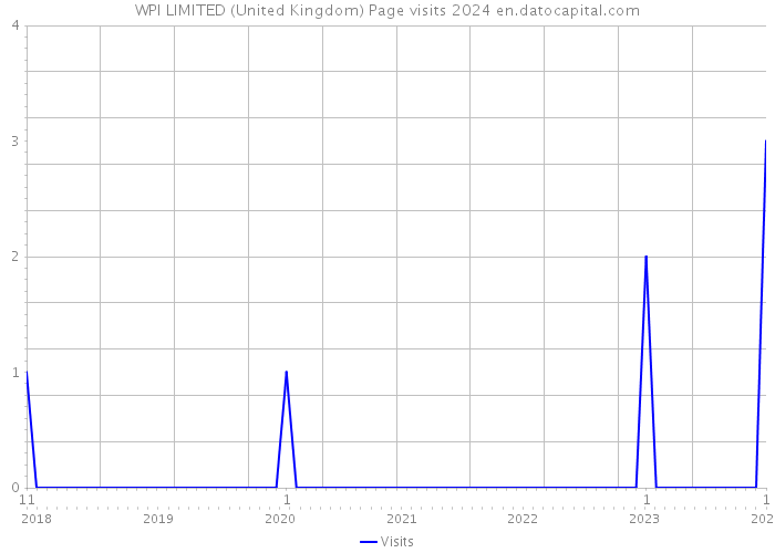 WPI LIMITED (United Kingdom) Page visits 2024 