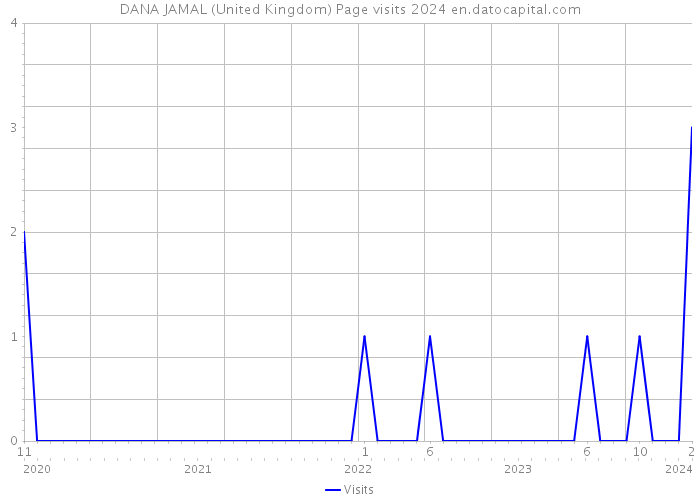 DANA JAMAL (United Kingdom) Page visits 2024 