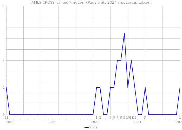 JAMES CROSS (United Kingdom) Page visits 2024 