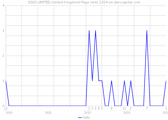 3000 LIMITED (United Kingdom) Page visits 2024 